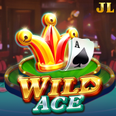 Wild Ace playtime login games